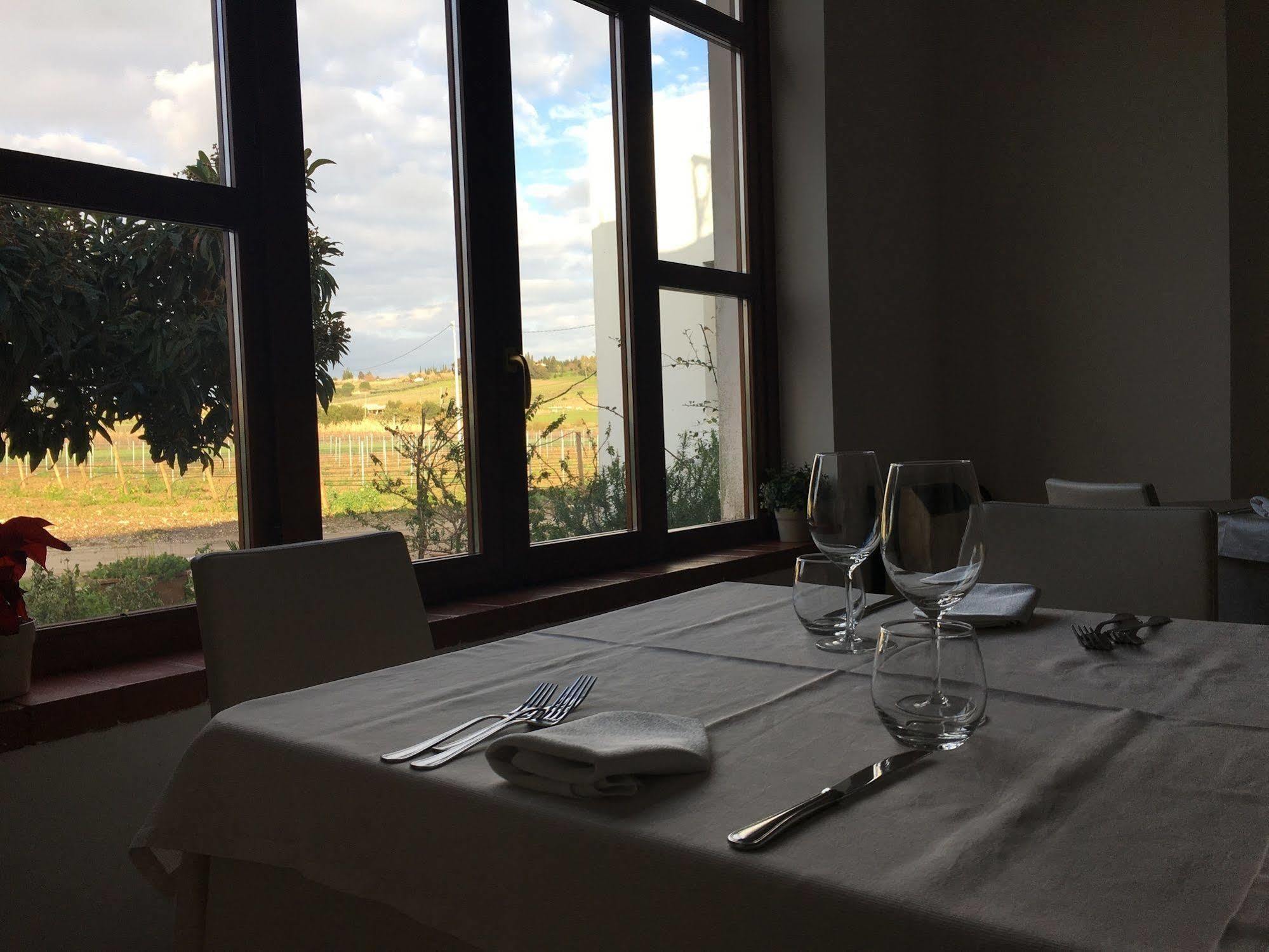 Il Vigneto